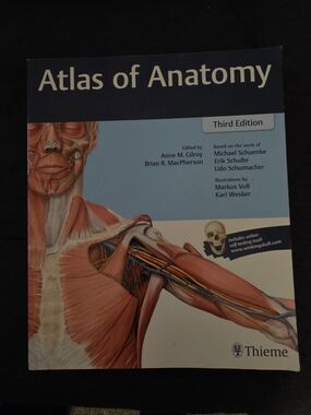 Atlas Of Anatomy Thieme Third Edition